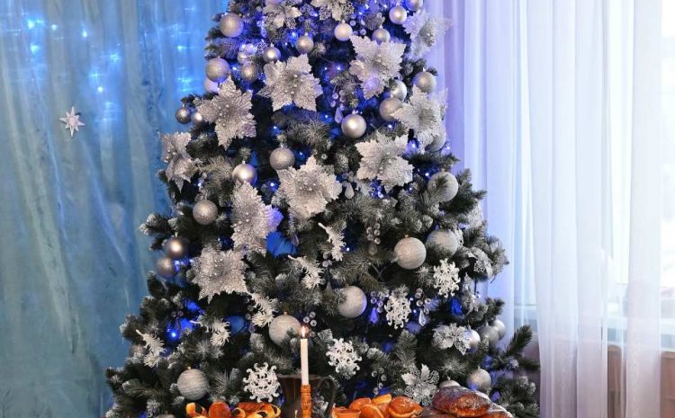  ФОТОВИСТАВКА ” МОЯ ЯЛИНКА НАЙКРАЩА”